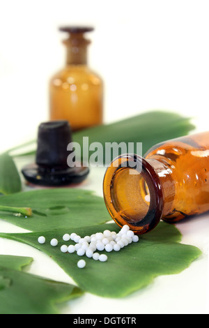 Ginkgo Blätter mit Apotheker Flasche vor weißem Hintergrund Stockfoto