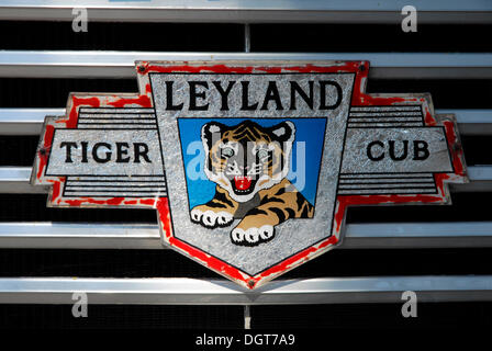 Detail, Zeichen auf dem Kühlergrill eines alten Leyland Bus, Bushaltestelle, Victoria oder Rabat, Insel Gozo, Malta, mediterran Stockfoto