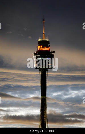 Sydney Tower, AMP Fernsehturm mit Westfield Leuchtreklame, CBD, Central Business District, Sydney, Sydney City Stockfoto