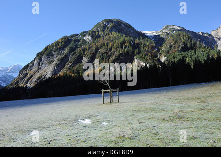 geschützten kleinen Baum auf Wiese mit Raureif und die umliegenden Berge im Herbst - Karwendel, Hinterriss, Eng, Österreich Stockfoto