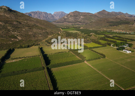 Paarl, Kapstadt-Weinstraße Stockfoto