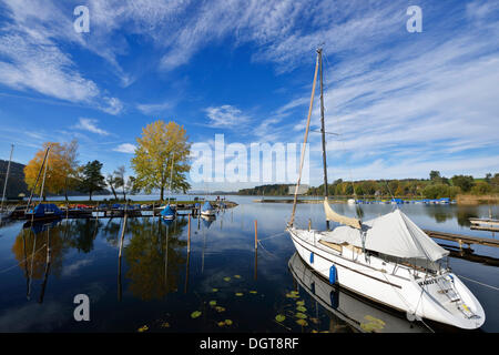 Radfahrer mit Elektro-Fahrräder am Hafen Matzing, Waller See, Neumarkt, Salzburg Seenland, Salzburg, Österreich, Europa Stockfoto