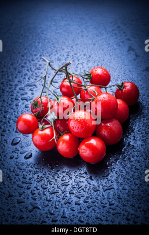 Cherry-Tomaten nach Regen auf blau Stockfoto