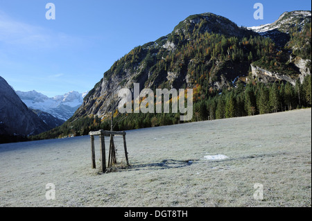 geschützten kleinen Baum auf Wiese mit Raureif und die umliegenden Berge im Herbst - Karwendel, Hinterriss, Eng, Österreich Stockfoto