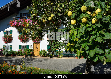 Bauernhof in Schoenram, Chiemgau, Bayern, Oberbayern Stockfoto