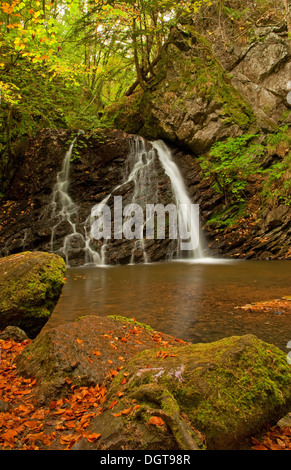 Fairy Glen Wasserfall im Herbst Stockfoto