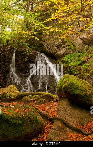 Fairy Glen Wasserfall im Herbst Stockfoto