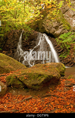 Fairy Glen Wasserfall im Herbst Stockfoto