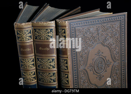 Alte Bücher aus dem 19. Jahrhundert, Goethe-Bände Stockfoto