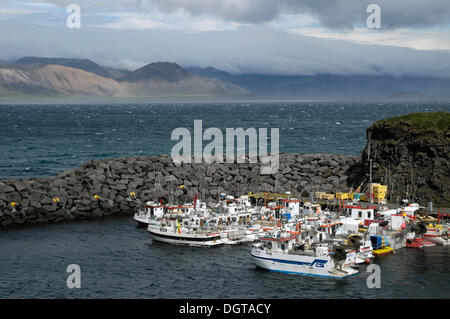 Hafen von Arnarstapi, Halbinsel Snæfellsnes, Island, Europa Stockfoto