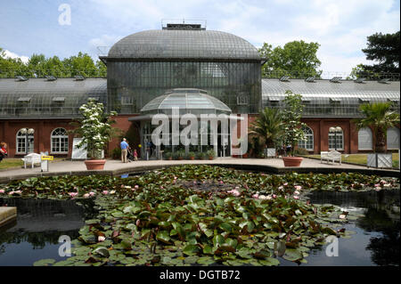 Tropenhaus, Palmengarten, Frankfurt Am Main, Hessen Stockfoto