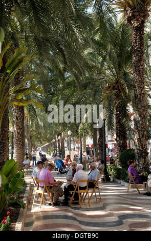 Explanada promenade, Alicante, Costa Blanca, Spanien, Europa Stockfoto