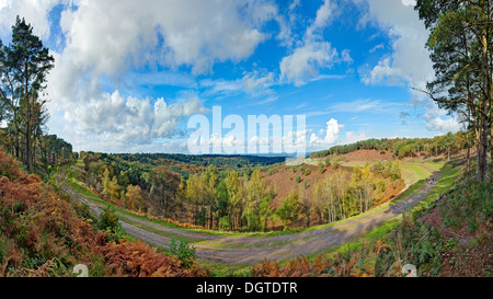 Die Lage der alten A3 London Portsmouth Road in Hindhead, nach zurück zu Heide wiederhergestellt wird. Stockfoto