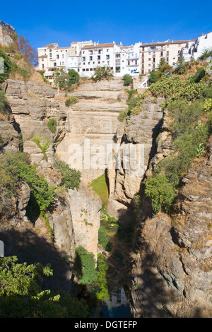 Gebäude auf Felsen der Schlucht Rio Guadalevin Fluss Ronda Spain Stockfoto