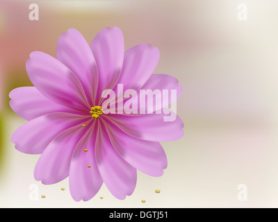 Rose Petal Blume Shell auf rosa Hintergrund Stockfoto
