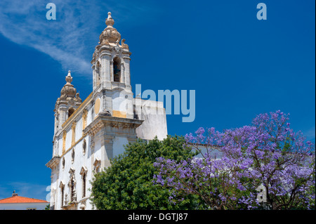 Portugal Algarve, Faro Do Carmo Kirche und Jacaranda Largo do Carmo Stockfoto