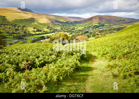 Mit Blick auf das Tawe Tal und Fan Brycheiniog in der Nähe von Glyntawe in der Brecon Beacons of South Wales UK Stockfoto