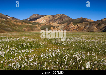 Berge in der Region Landmannalaugar in der Nähe des Vulkans Hekla, Island, Europa Stockfoto