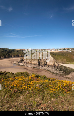 Solva-Hafen und den Fluss-Mündung bei Ebbe mit Ginster blühen im Vordergrund Stockfoto