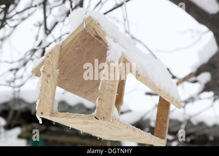 Zubringer für die Winter-Vogelfutter Stockfoto