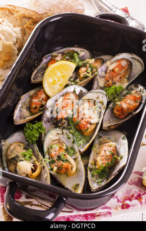 Muscheln mit Käse überbacken Stockfoto