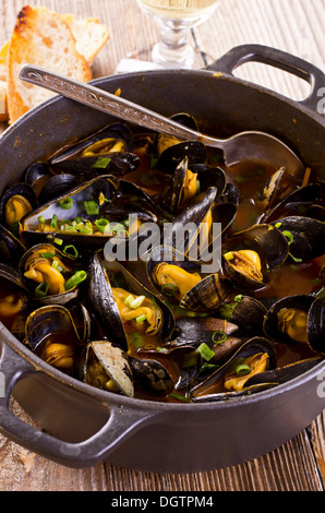 Miesmuscheln in roter Soße Stockfoto