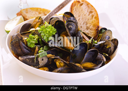 Muscheln in Tomatensauce gekocht Stockfoto