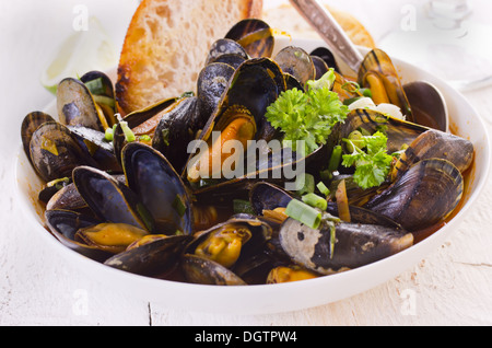 Miesmuscheln in roter Soße gekocht Stockfoto