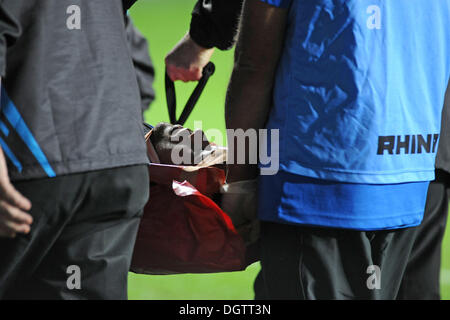 Swansea, Großbritannien. 25. Oktober 2013.RaboDirect PRO12 - Fischadler V Newport Gwent Dragons im Liberty Stadium in Swansea: Toby Faletau der Newport Gwent Drachen ist noch aus dem Feld mit einer Verletzung. Bildnachweis: Phil Rees/Alamy Live-Nachrichten Stockfoto