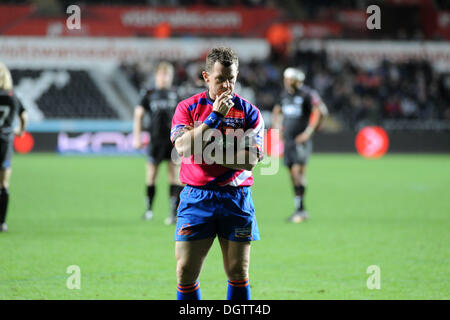 Swansea, Großbritannien. 25. Oktober 2013.RaboDirect PRO12 - Fischadler V Newport Gwent Dragons im Liberty Stadium in Swansea: Schiedsrichter Nigel Owens sieht besorgt, wie er Uhren Toby Faletau wegen einer Verletzung auf dem Feld behandelt. Bildnachweis: Phil Rees/Alamy Live-Nachrichten Stockfoto