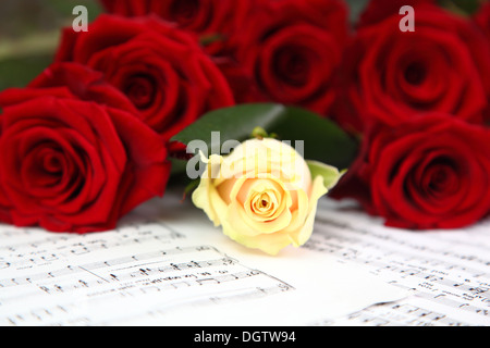 rote und weiße Rosen auf einem Blatt mit Notizen Stockfoto