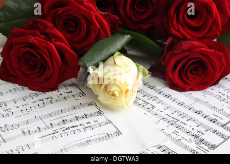 rote und weiße Rosen auf einem Blatt mit Notizen Stockfoto