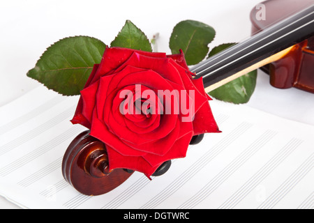 Rose, Violine und musikalische Notizbuch auf einem weißen Hintergrund Stockfoto