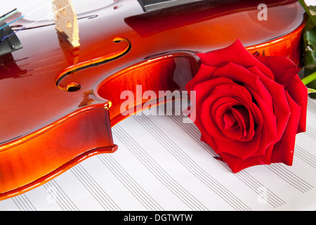 Violine, rote Rosen und musikalische Notizbuch Stockfoto