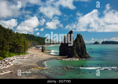 WASHINGTON - Rialto Strand an der Pazifikküste in Olympic Nationalpark. Stockfoto