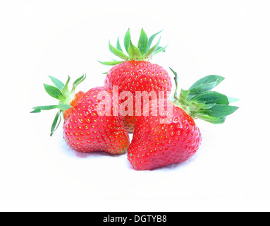 Erdbeeren auf weißem Hintergrund isoliert Stockfoto