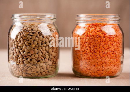 Rote und grüne Linsen Samen in Gläsern Stockfoto