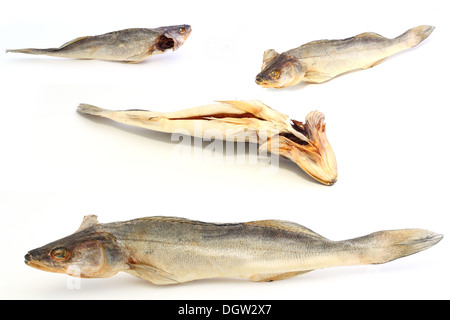 Getrockneter Fisch auf weißem Hintergrund Stockfoto