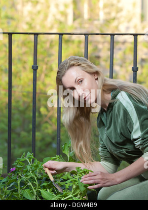 Die junge Frau landet Sämling auf einem Balkon Stockfoto