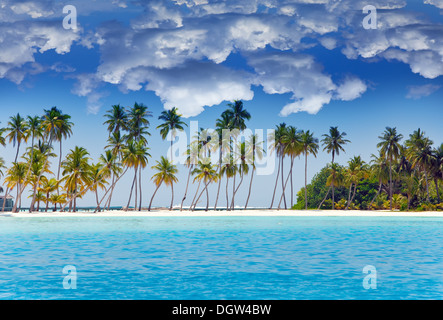 Die Insel mit Palmen im Ozean Stockfoto