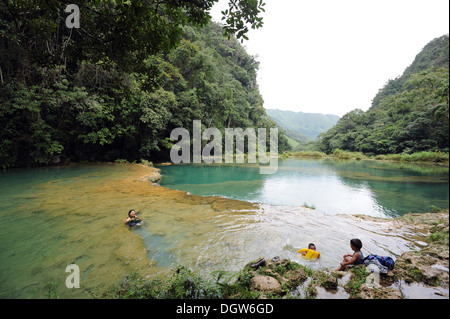 Semuc Champey, in der Region Alta Verapaz in Guatemala, bestehend aus natürlichem Kalkstein Brücke und Naturpool. Stockfoto