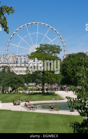 Jardin des Tuileries, Paris, Frankreich Stockfoto