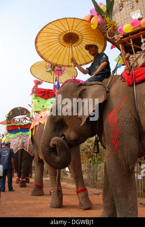 Elefanten, Mahout Reiten unter Sonnenschirm, Elephant Festival Parade, Ban Viengkeo, Hongsa, Xaignabouri Provinz eingerichtet Stockfoto