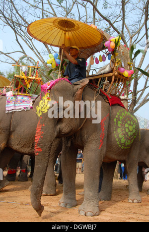 Verziert und bunt bemalte Elefanten, Mahout Reiten unter Sonnenschirm, Elephant Festival Parade, Ban Viengkeo, Hongsa Stockfoto