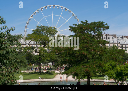 Jardin des Tuileries, Paris, Frankreich Stockfoto