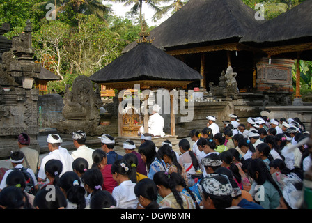 Bali-Hinduismus, Gläubige treffen in Gebetszeremonie mit Brahmanen Priester, Schrein mit heiligen Quelle, Pura Tirta Empul Tempel Stockfoto