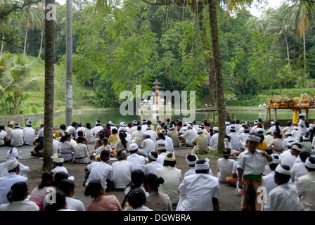 Viele Gläubige treffen in Zeremonie, sitzen auf dem Boden, Pura Taman Mumbul Tempel mit See, in der Nähe von Ubud Bali Hinduismus Stockfoto