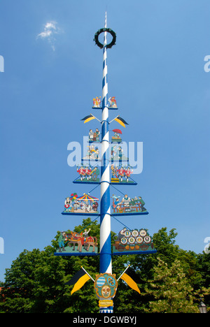 Maibaum mit den sozialen Klassen der Münchner Viktualienmarkt Lebensmittelmarkt, Innenstadt, Altstadt, München, Hauptstadt, Oberbayern Stockfoto