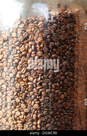 Braune Bohnen in Glasbehälter, Nahaufnahme von Kaffeebohnen für Hintergrund und Struktur Stockfoto