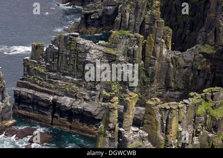 Spektakuläre Aussicht auf den Stapel und Seevögel-Kolonien an die Cliffs of Moher, The Burren, Co. Clare, Irland Stockfoto